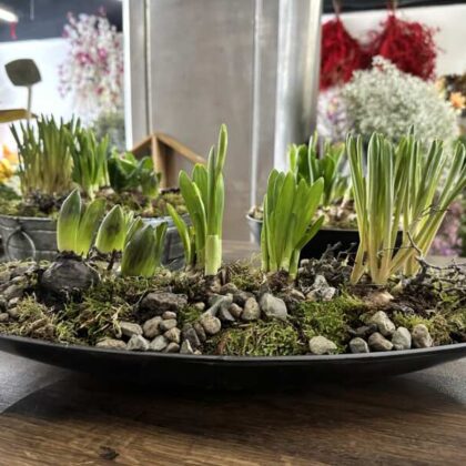 Jarna tacka s cibulovinami