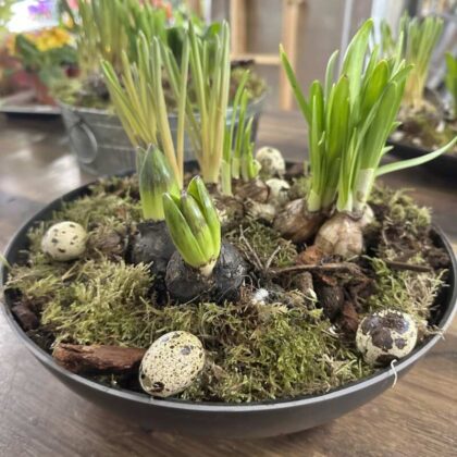 Jarna miska s prepelicimi vajíčkami